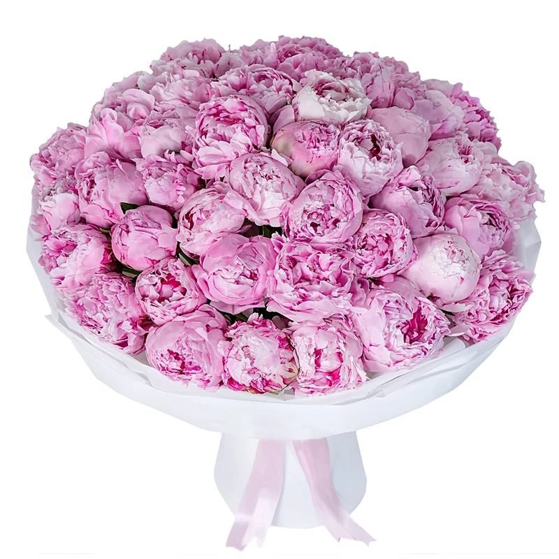 51 розовый пион